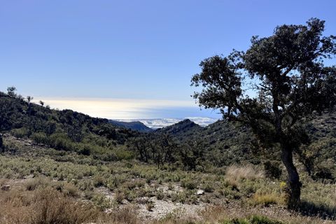 Finca i Tabernas, Almeria, Tabernas - € 2.345.000 | Ref: GVCFSA - foto 30